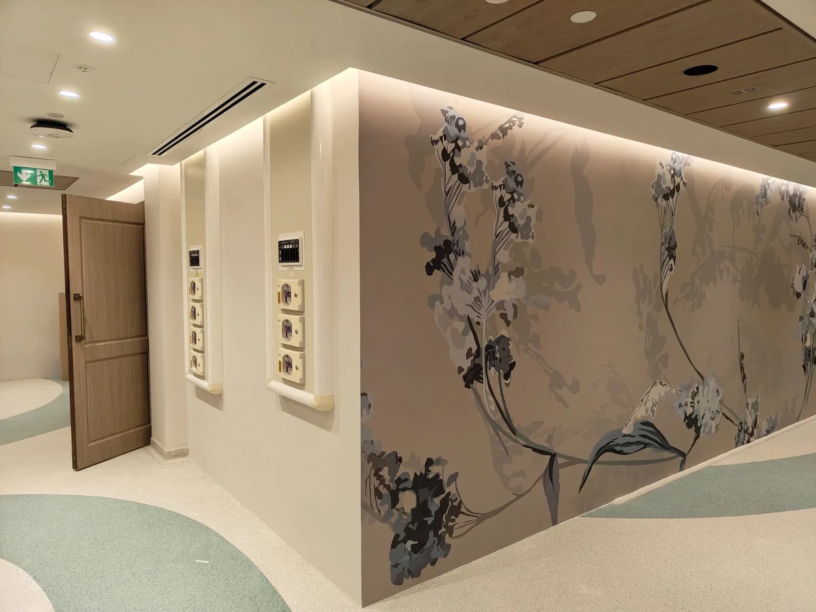 SEHA hospital corniche